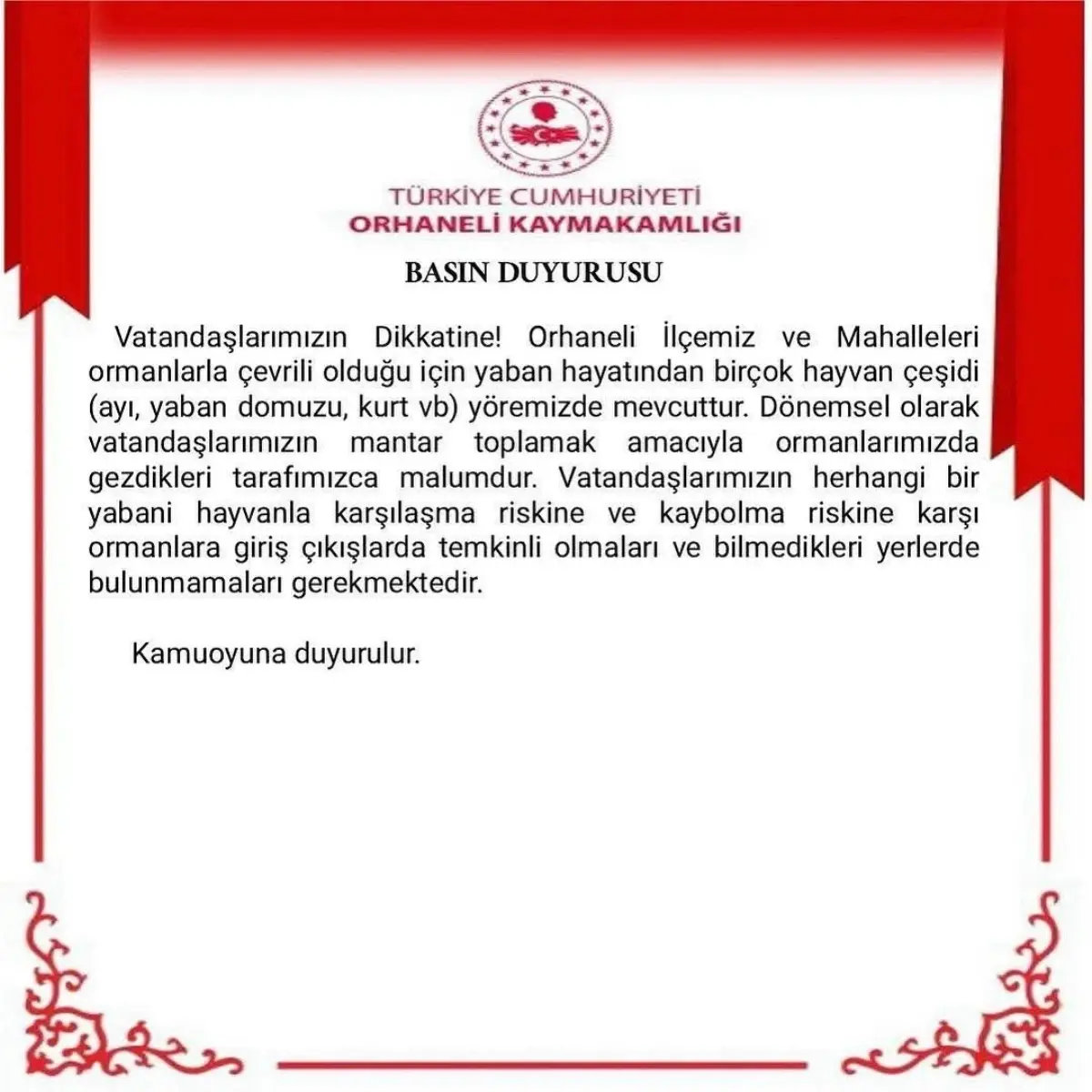 Bursa\'da Ayı Görüntülendi