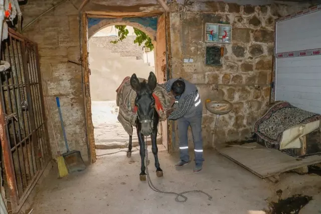 Mardin'de Eşekler Emekli Oluyor, Yerine Elektrikli Araçlar Geçiyor Mardin'de Eşekler Emekli Oluyor, Yerine Elektrikli Araçlar Geçiyor