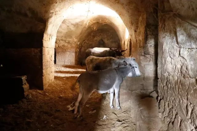 Mardin'de Eşekler Emekli Oluyor, Yerine Elektrikli Araçlar Geçiyor Mardin'de Eşekler Emekli Oluyor, Yerine Elektrikli Araçlar Geçiyor