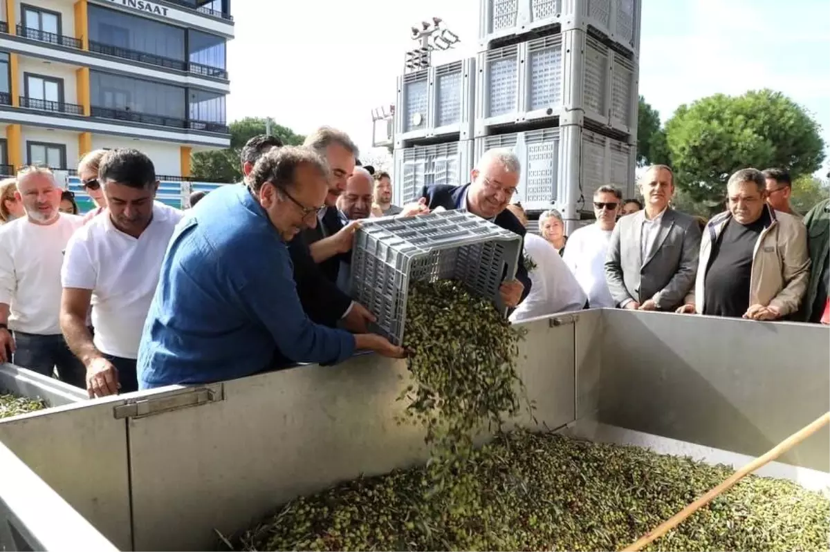 Edremit\'te Zeytinyağı Tadım Festivali