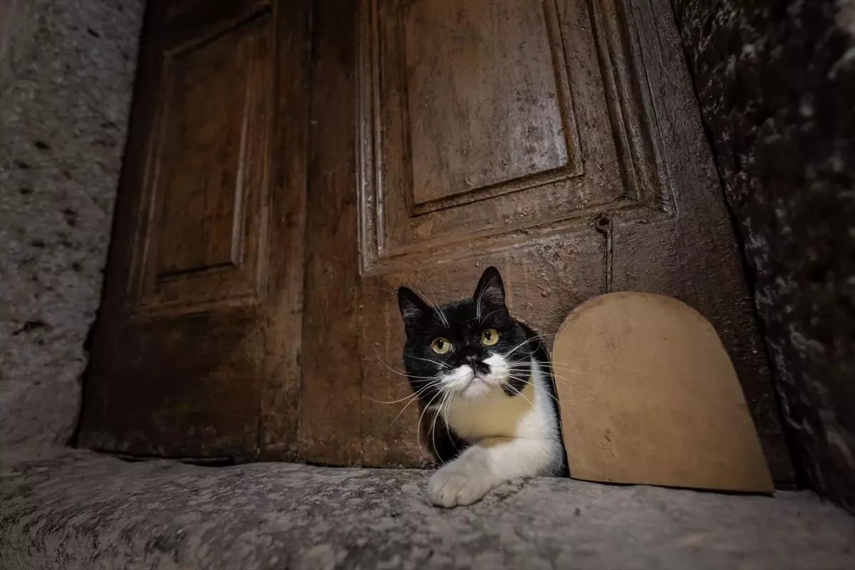 Kedi Kapısı Restore Edildi