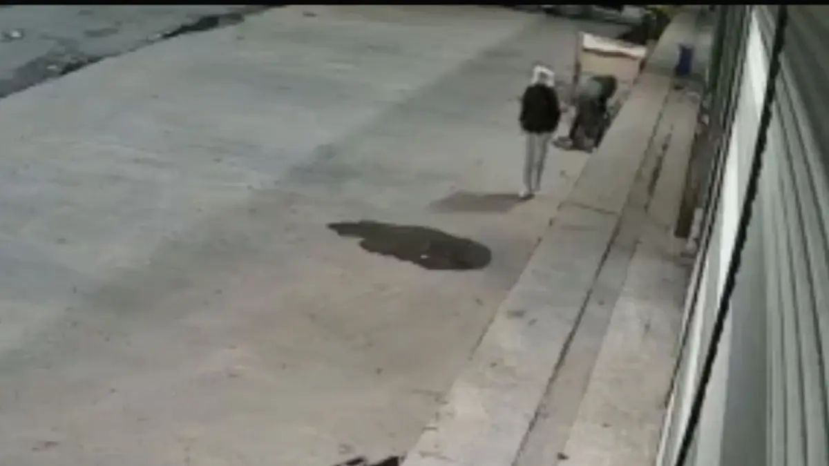 Bayrampaşa\'da Güvercin Hırsızlığı