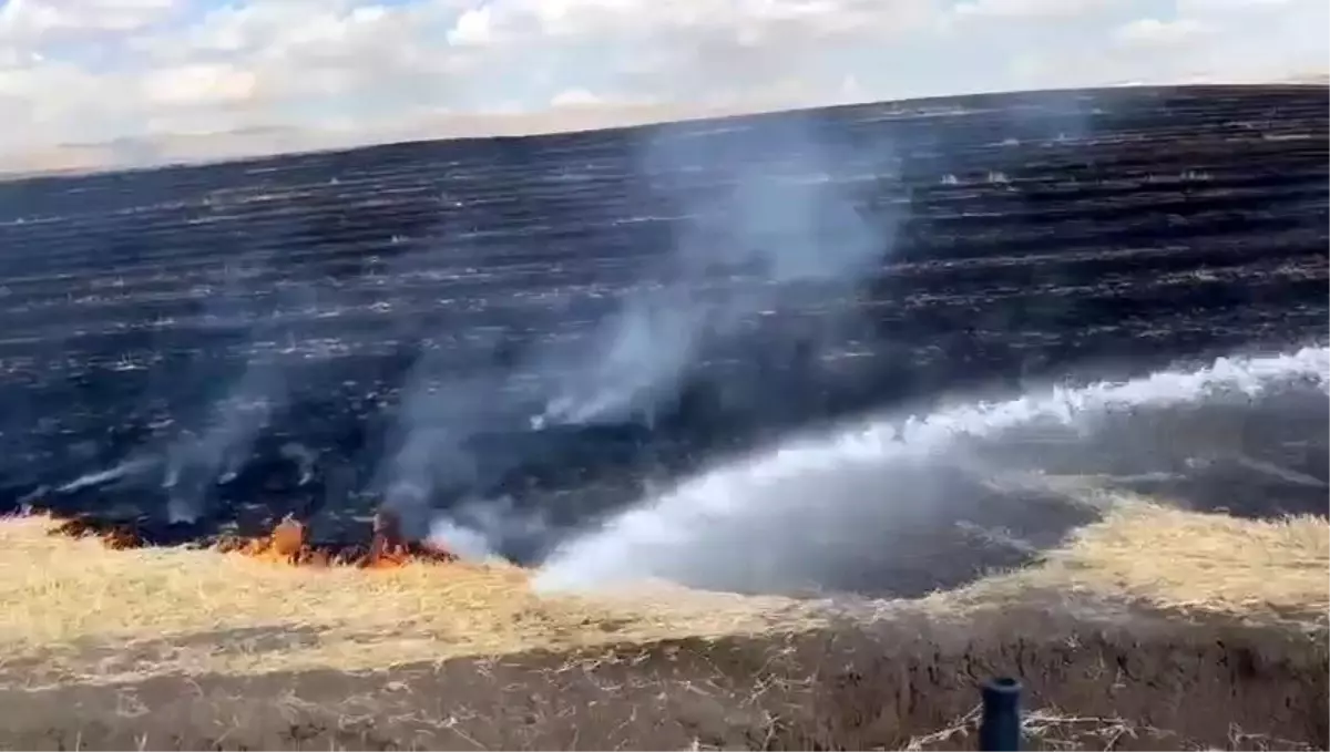 Silvan\'da Anız Yangını