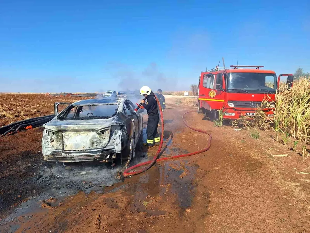 Diyarbakır\'da otomobil yandı