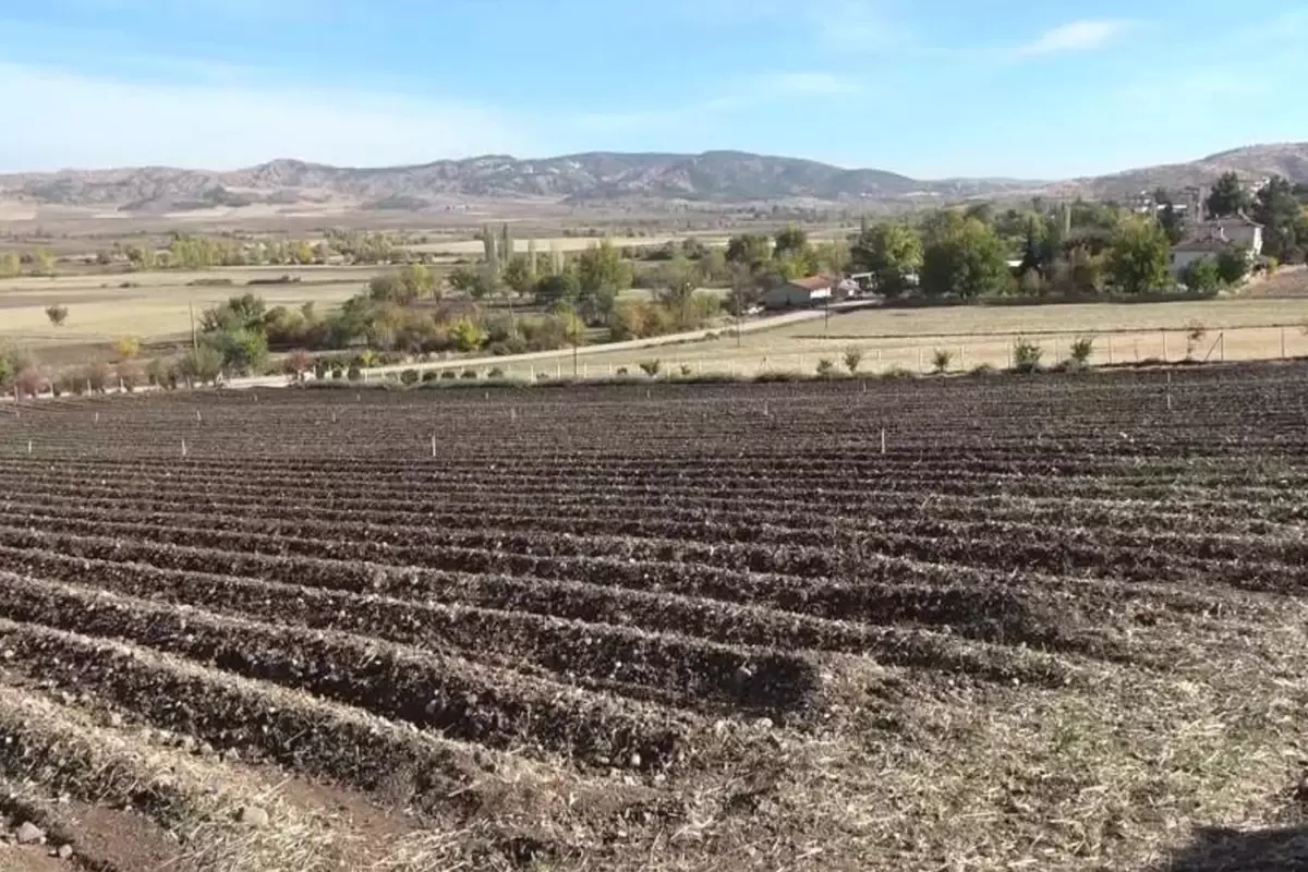 Dünyanın en pahalısı! 1 gramı 500 TL\'ye satılıyor