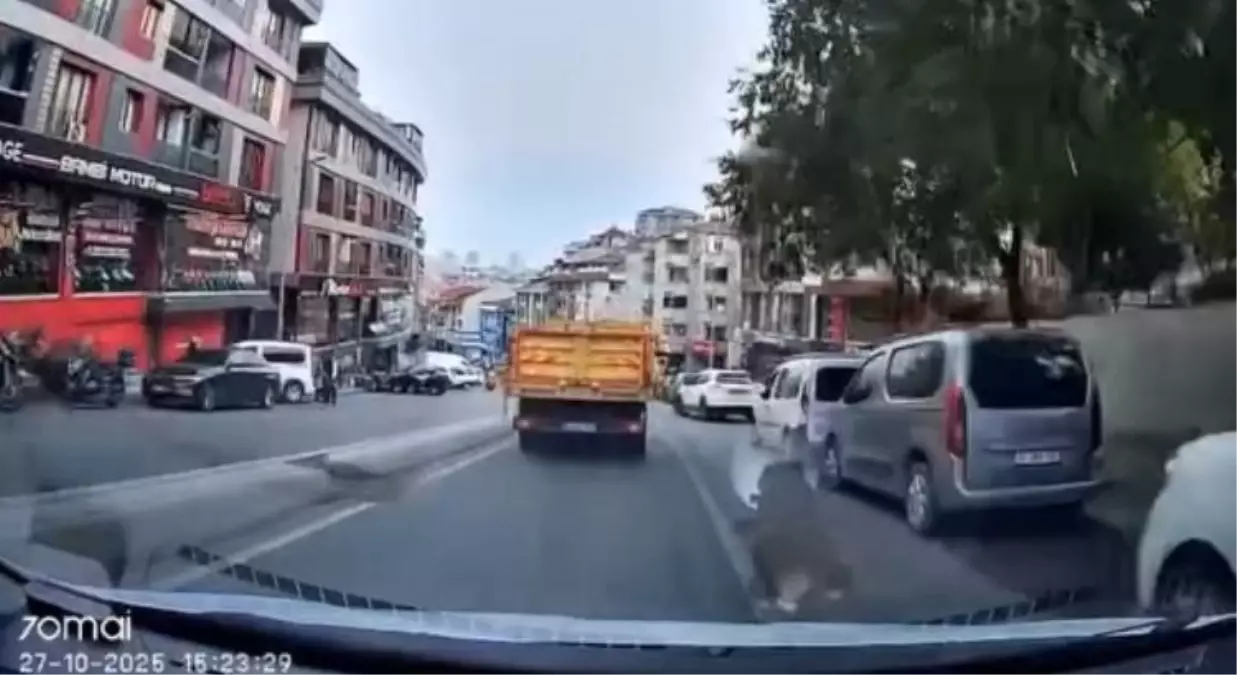 Ehliyetsiz Sürücü Kazaya Neden Oldu