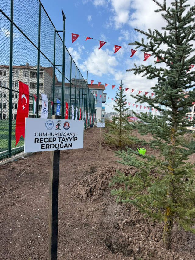 Filistinli şehit gazeteciler anısına fidanlar Ankara'da toprakla buluştu Filistinli şehit gazeteciler anısına fidanlar Ankara'da toprakla buluştu