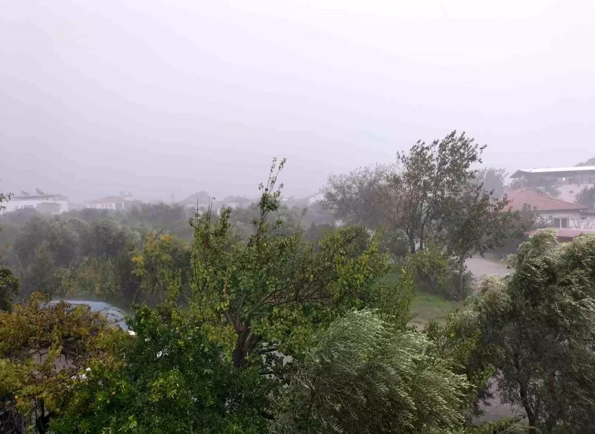 Köyceğiz\'de Fırtına ve Sağanak Yağış Etkili Oldu