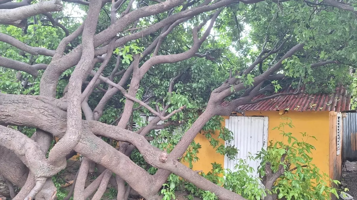 Melissa Kasırgası, Jamaika\'nın güneybatısını vurdu