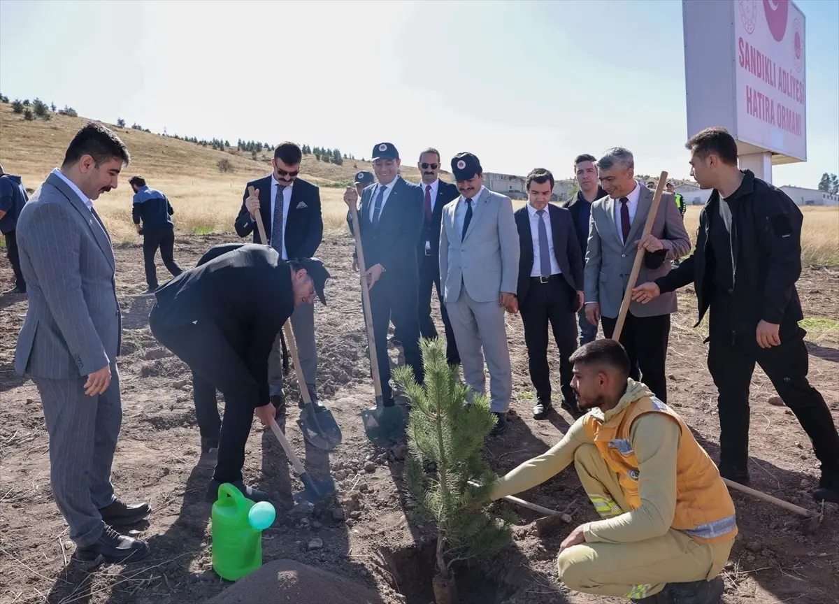 Fidan Dikin, Kitap Al