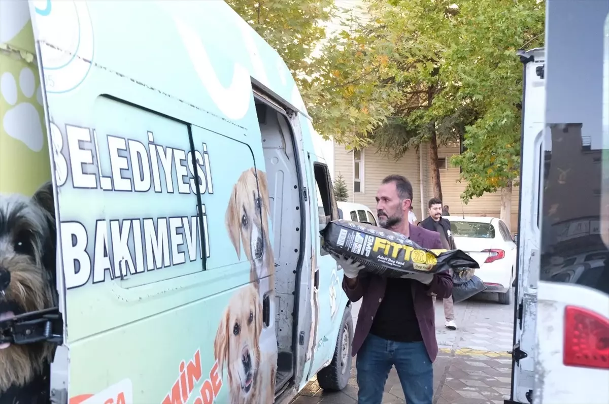 Atık Yağlar, Sorgun\'da Köpeklere Mama Oluyor