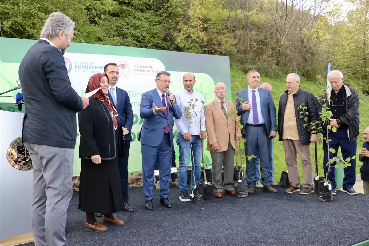 Trabzon\'da Yerel Meyve Fidanı Dağıtımı