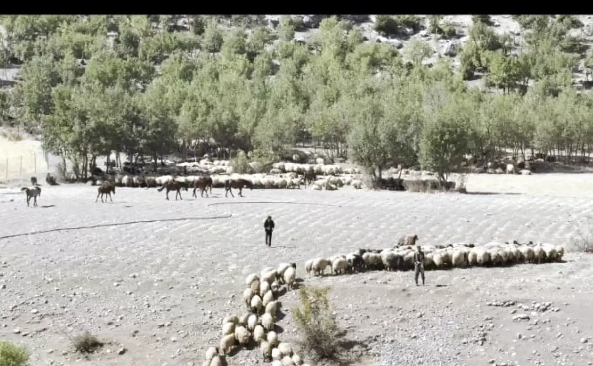 Göçerler Yazlık Yaylalardan Dönüşe Geçti