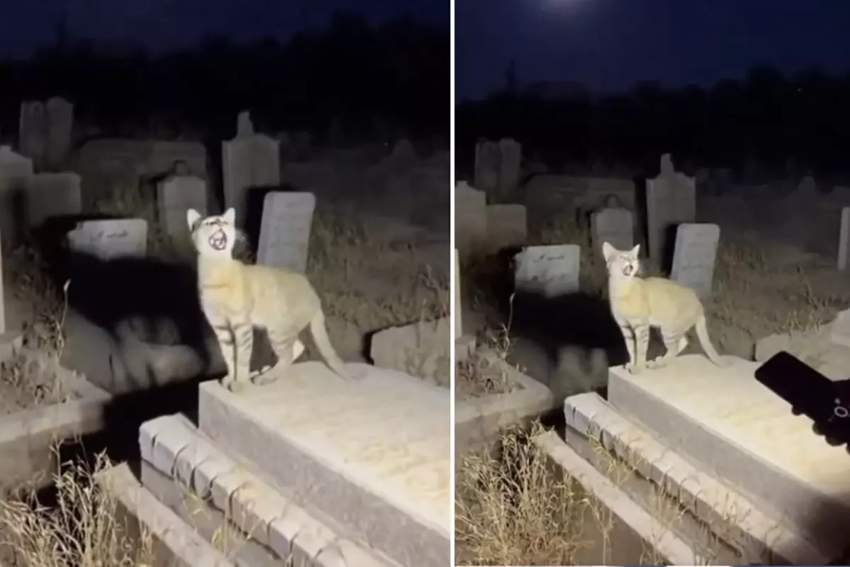 Yapay zekanın geldiği son nokta: Binlerce kişi gerçek sanıp paylaştı