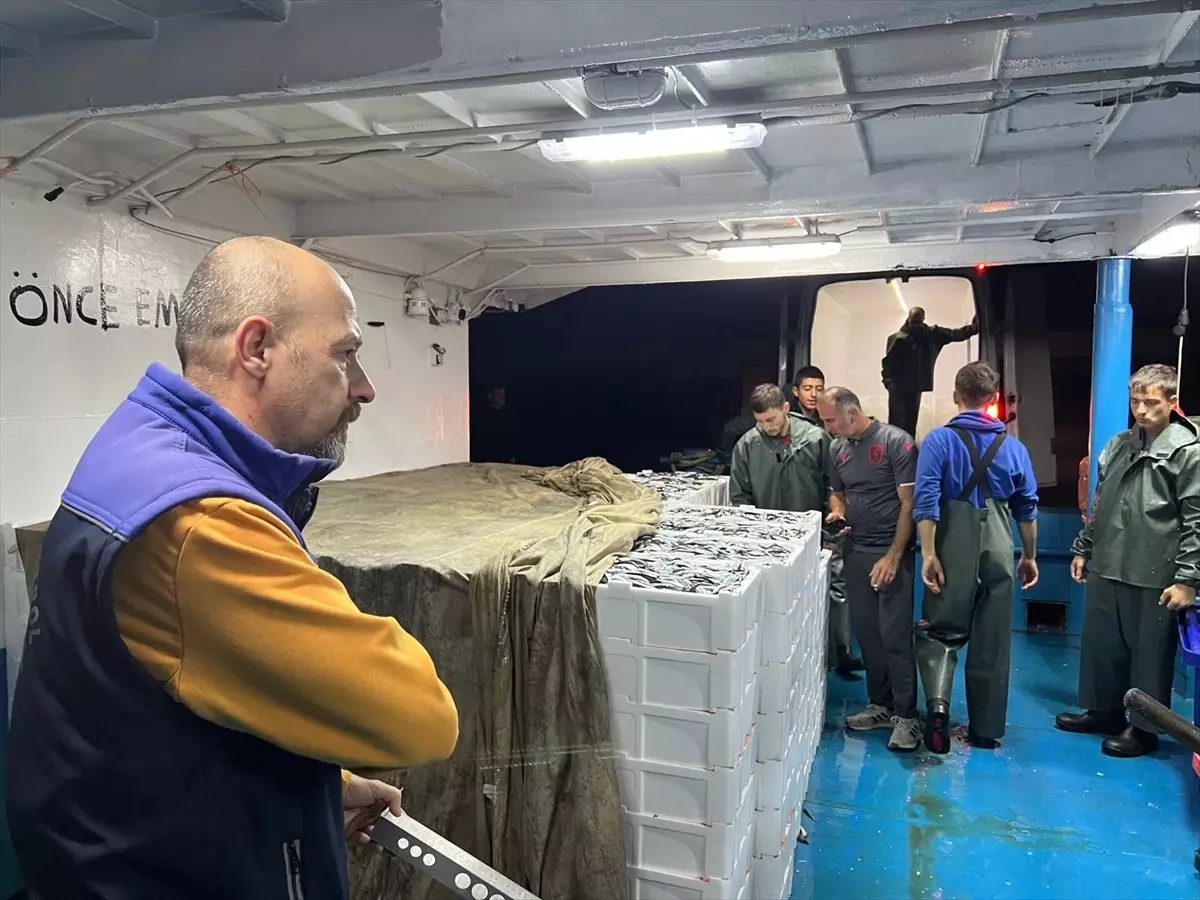 Samsun\'da Balık Denetimleri Devam Ediyor