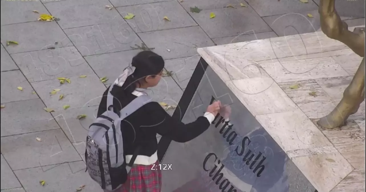 Minik Asmin\'in Duygusal Hareketi