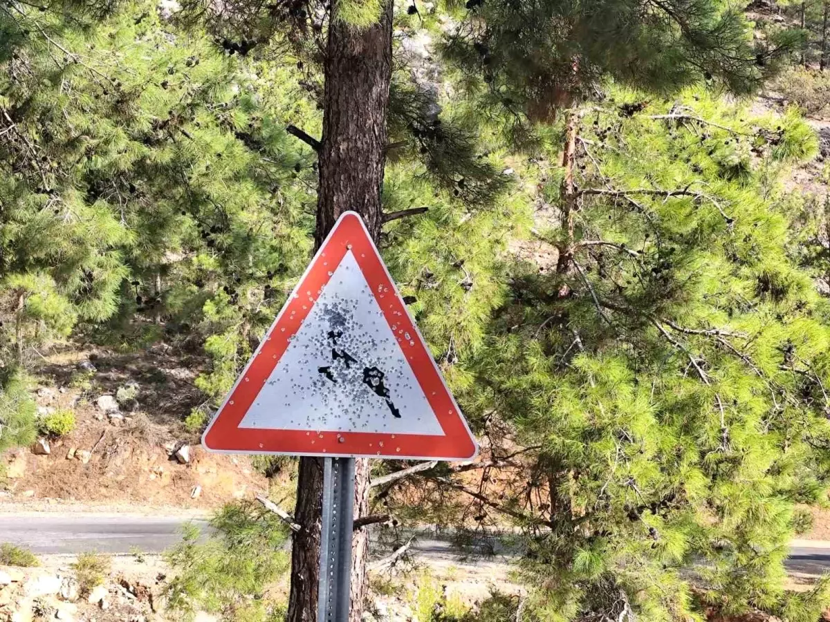 Bozyazı\'da Trafik Levhalarına Saldırı