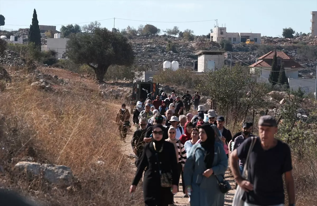 İsrail, Filistinli Çiftçilerin Zeytin Hasadını Engelliyor