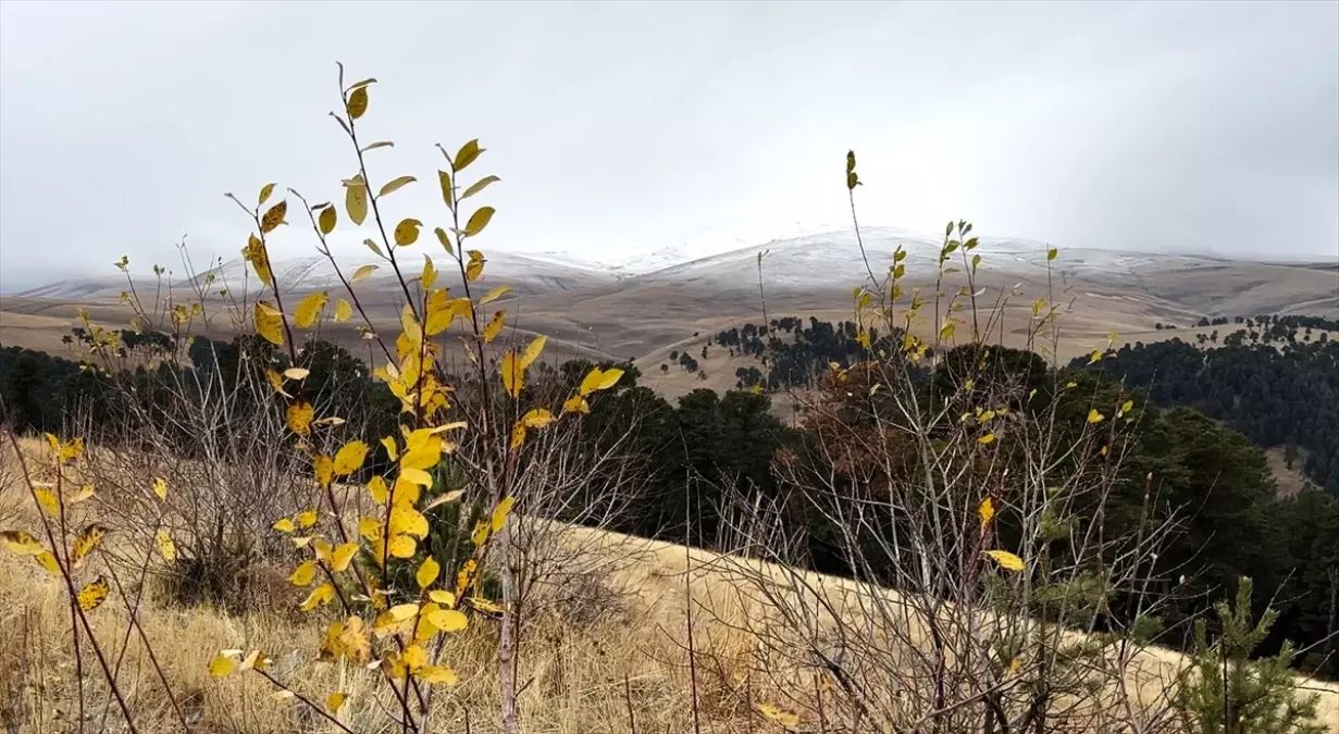 Sarıkamış\'ta Kar Yağışı Etkili Oldu