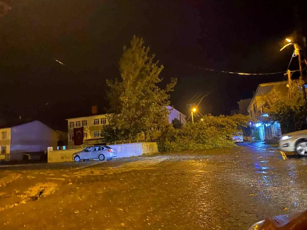 Bitlis\'te Şiddetli Rüzgar Ağaç Devrildi, Araç Hasar Gördü