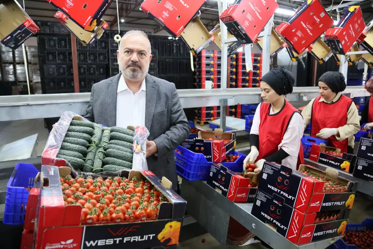 Ukrayna\'dan Domates ve Salatalık İhracatına Damping Kararı