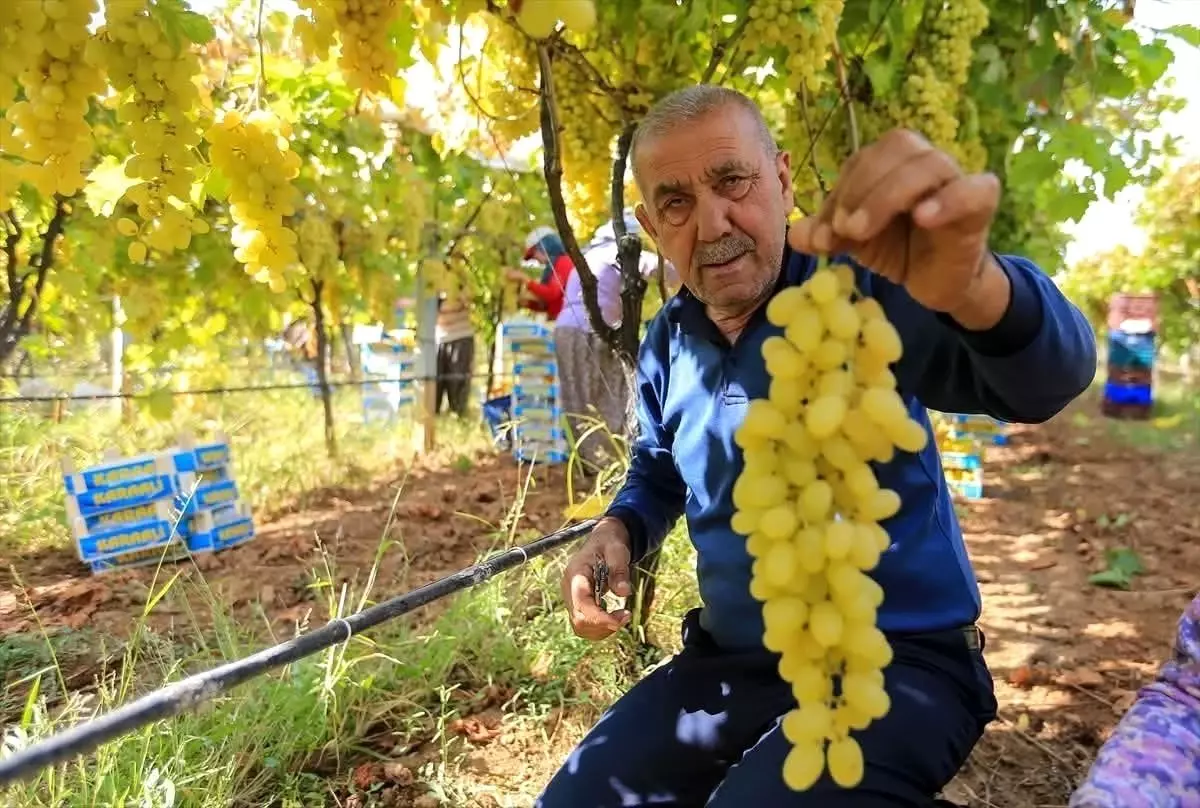 Yüksek Maliyetler Üreticiyi Zorladı