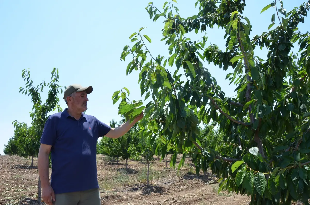 Eskişehir\'de 606 Çiftçiye 55 Milyon Lira Destek