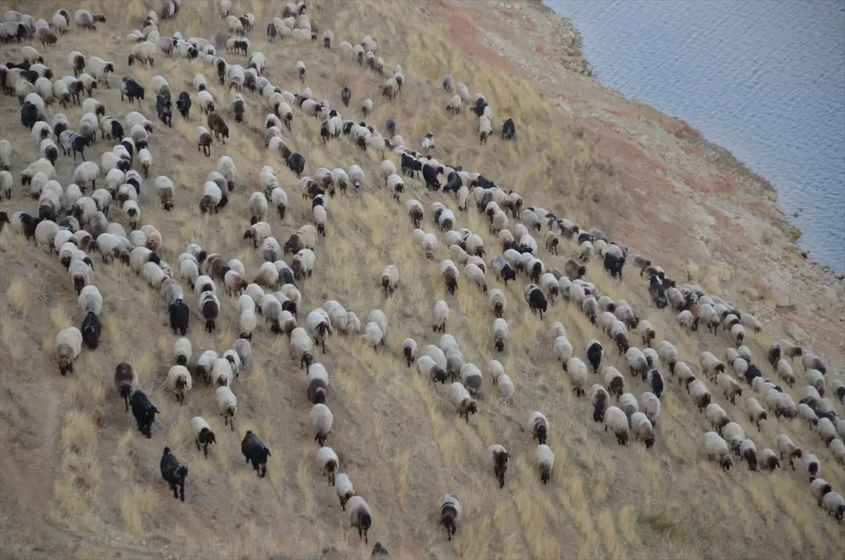 Göçerlerin Dönüş Yolculuğu Başladı