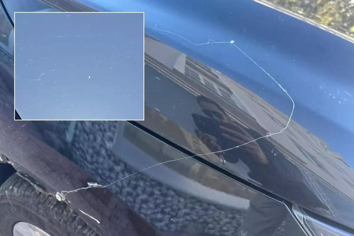 Görüntü Türkiye\'den! Gökyüzünden örümcek ağı yağdı