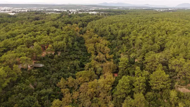 Kenan Evren'in 'gizli köşkü', 14 yıldır kafe olarak işletiliyor Kenan Evren'in 'gizli köşkü', 14 yıldır kafe olarak işletiliyor