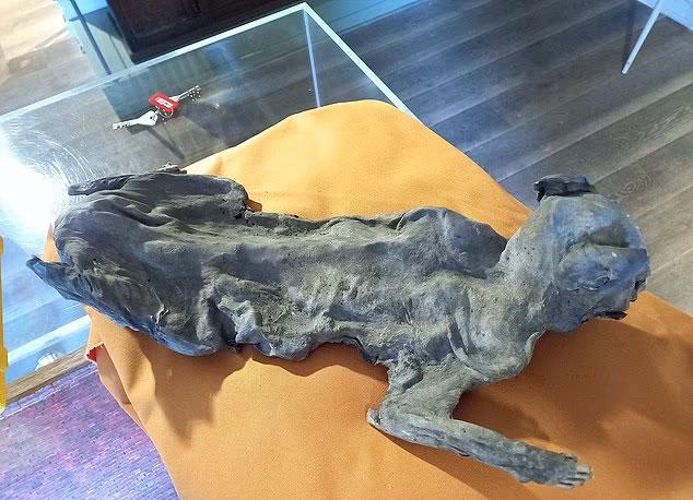 Kilisenin duvarları arasından çıktı, tarihçileri dahi şaşırttı