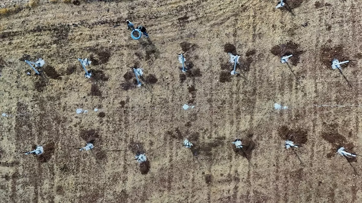 Mardin\'de Atıl Araziler Modern Bağcılıkla Değerlendiriliyor