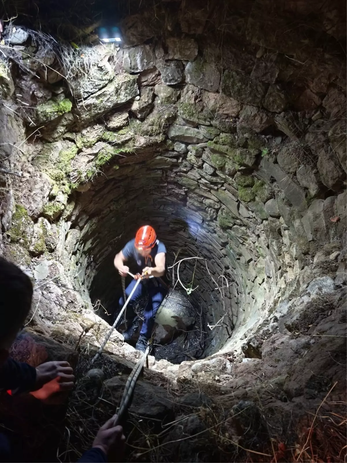 İneği Su Kuyusundan Kurtardılar