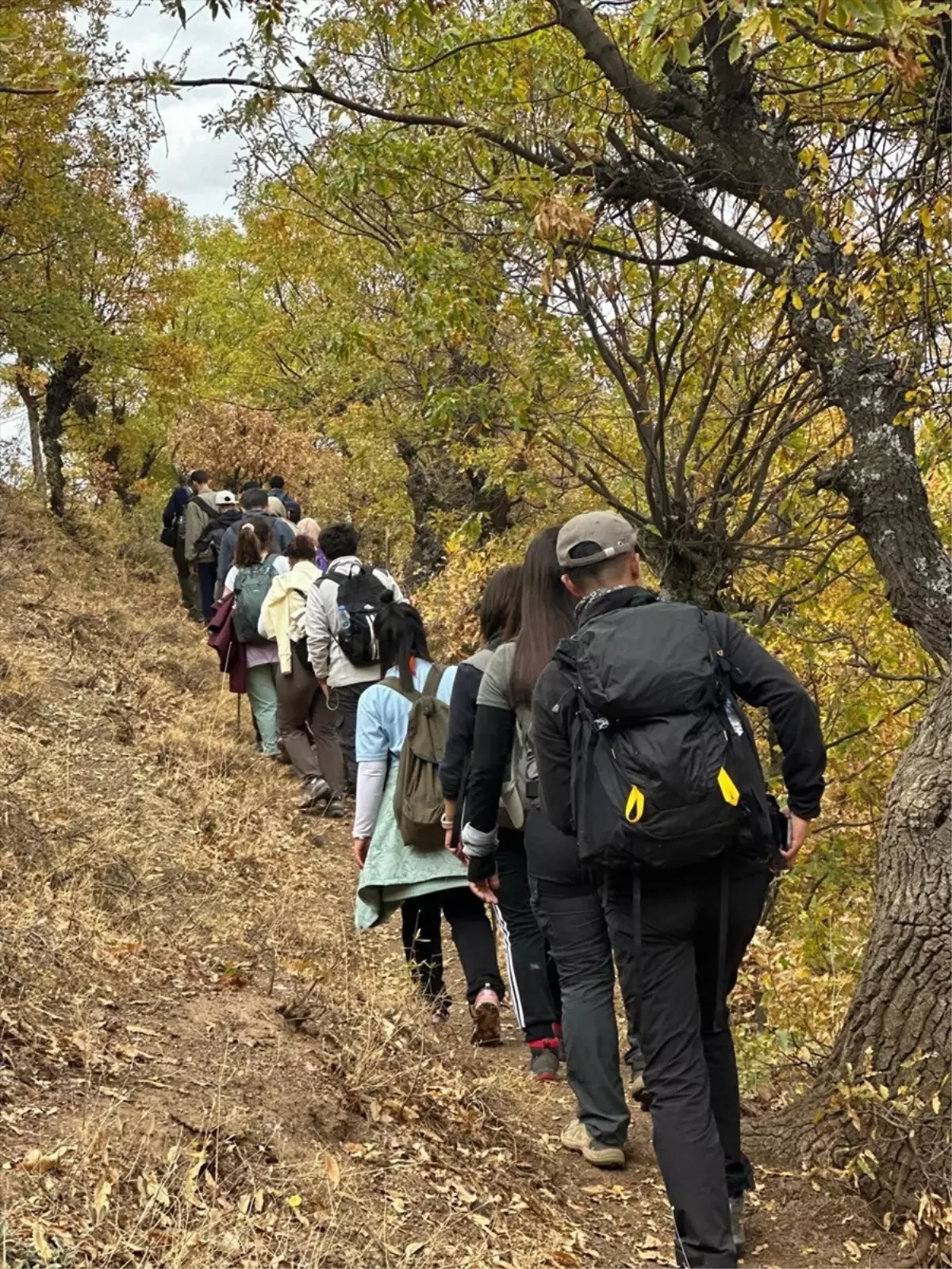 Hizan\'da Sonbahar Renkleri