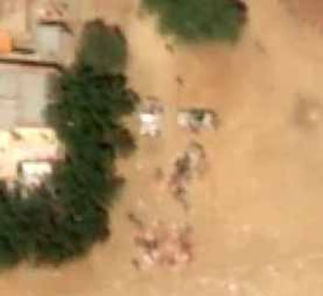 Sudan'da kadın doğum hastanesine saldırı: 460 kişi hayatını kaybetti Sudan'da kadın doğum hastanesine saldırı: 460 kişi hayatını kaybetti