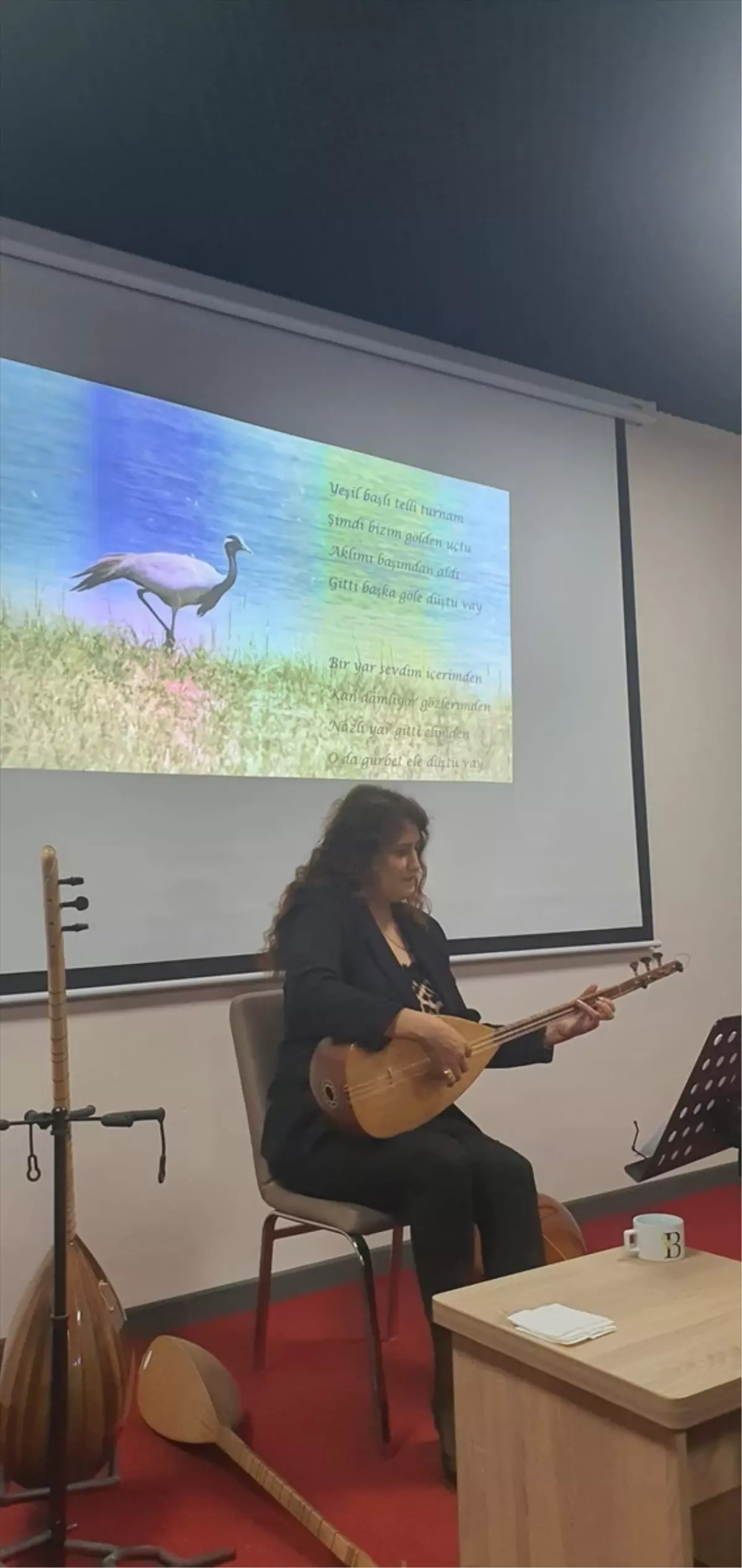 Turna Temalı Konser Amasya\'da