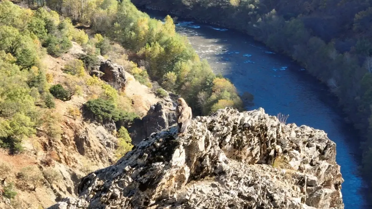 Bakan Yumaklı Munzur Vadisi\'nde