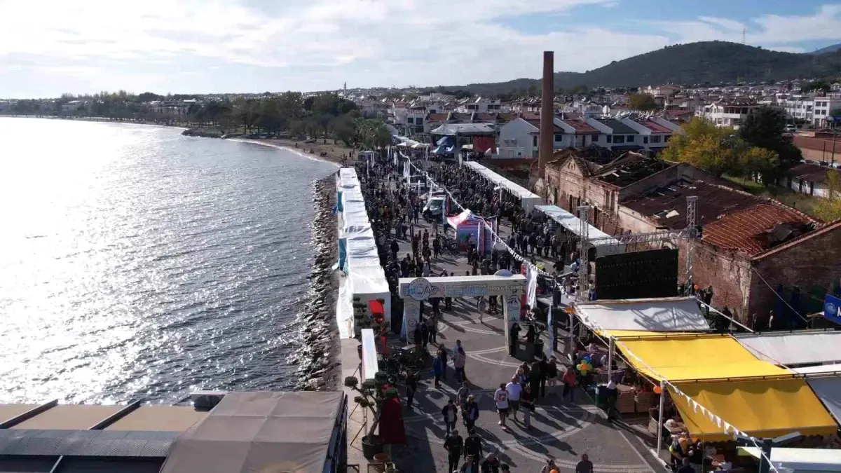 FestOlive Edremit Zeytinyağı Tadım Festivali Tamamlandı