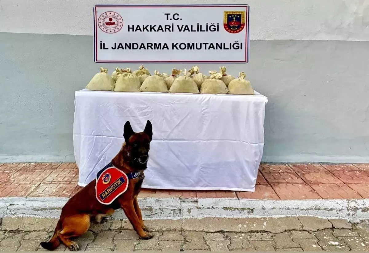 Hakkari\'de 15 Kilo Esrar Ele Geçirildi