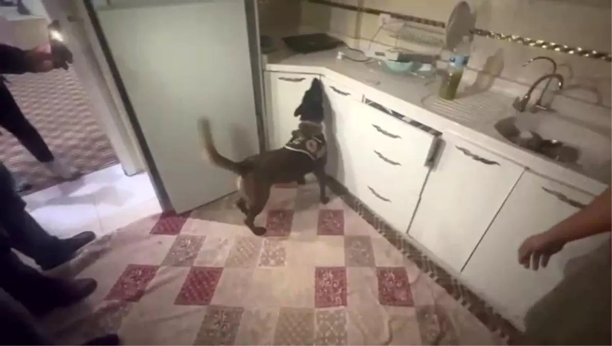 Hatay\'da 60 Bin Captagon Ele Geçirildi