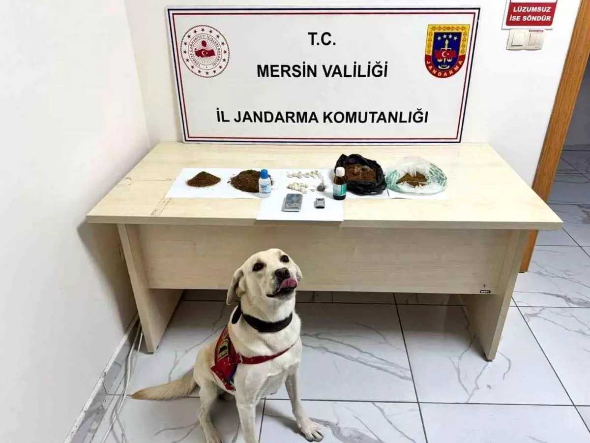 Mersin\'de Uyuşturucu Operasyonu