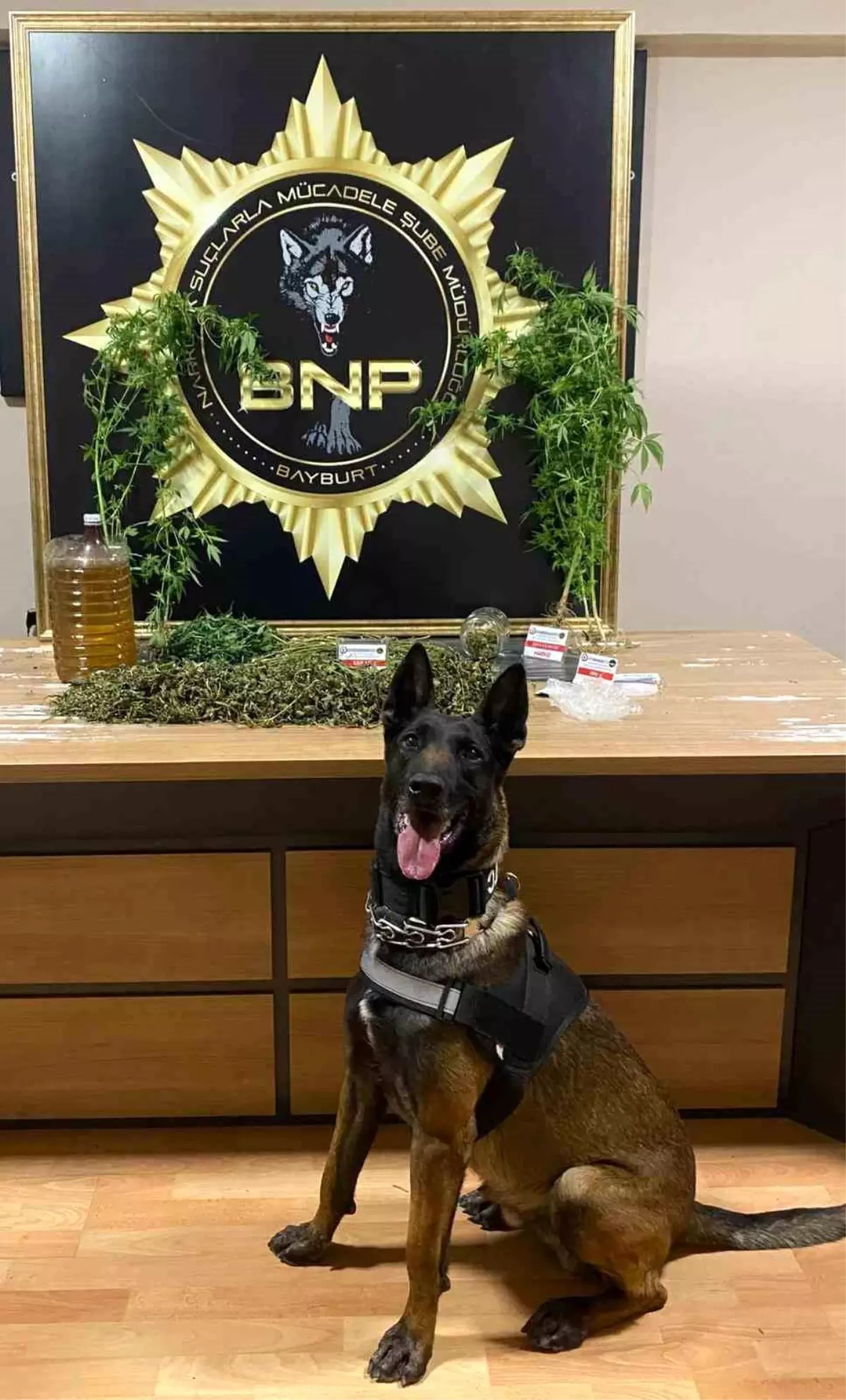 Bayburt\'ta Uyuşturucu Operasyonu