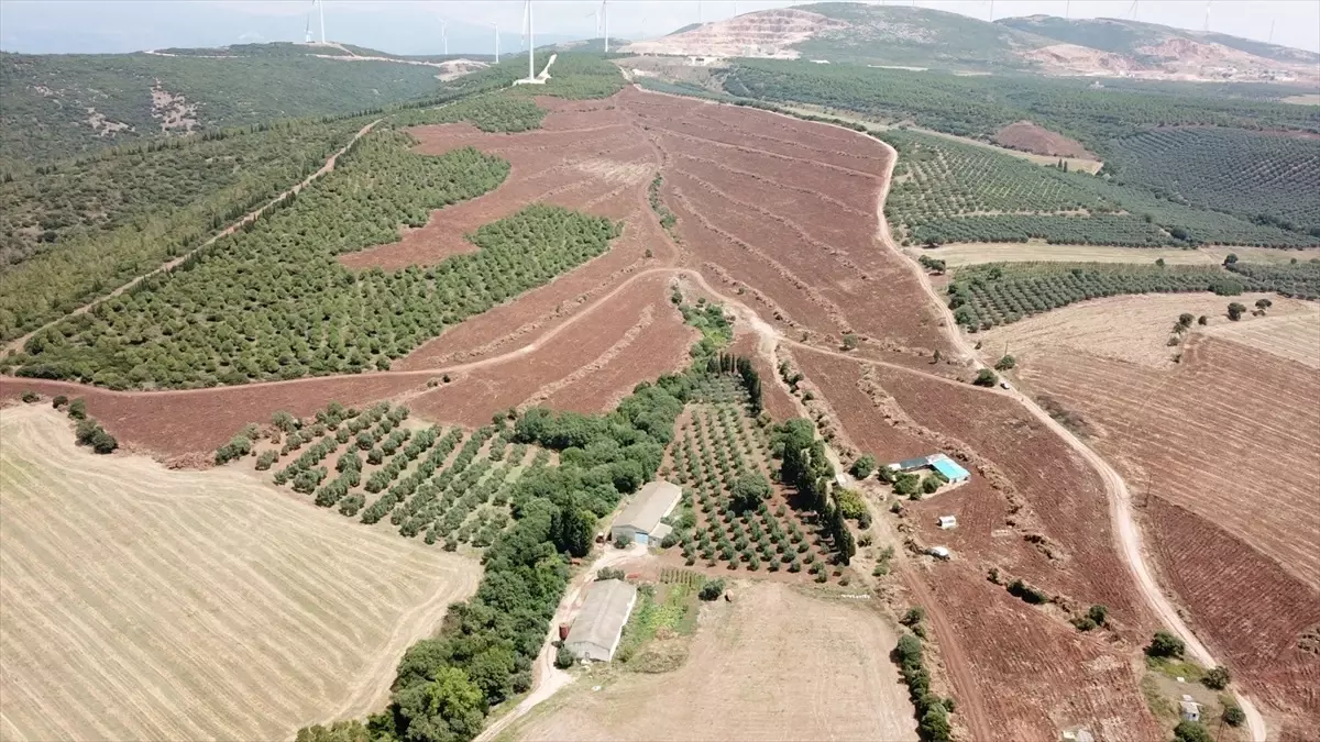 Orman Genel Müdürü\'nden Fidan Projesine Destek