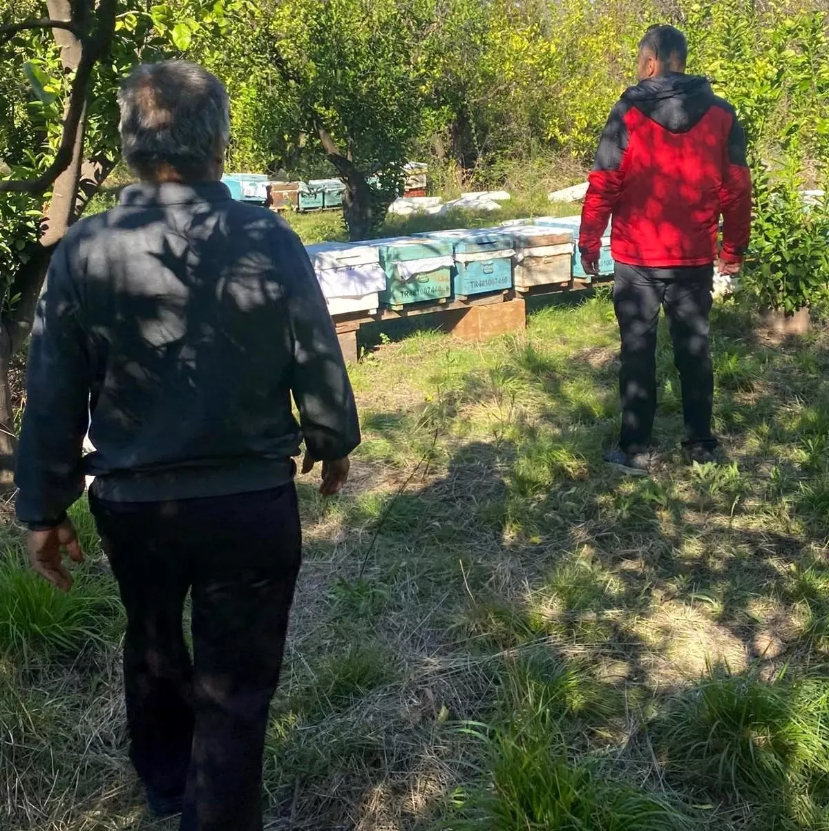 Ortaca\'da Arı Kovanı Tespit Çalışmaları