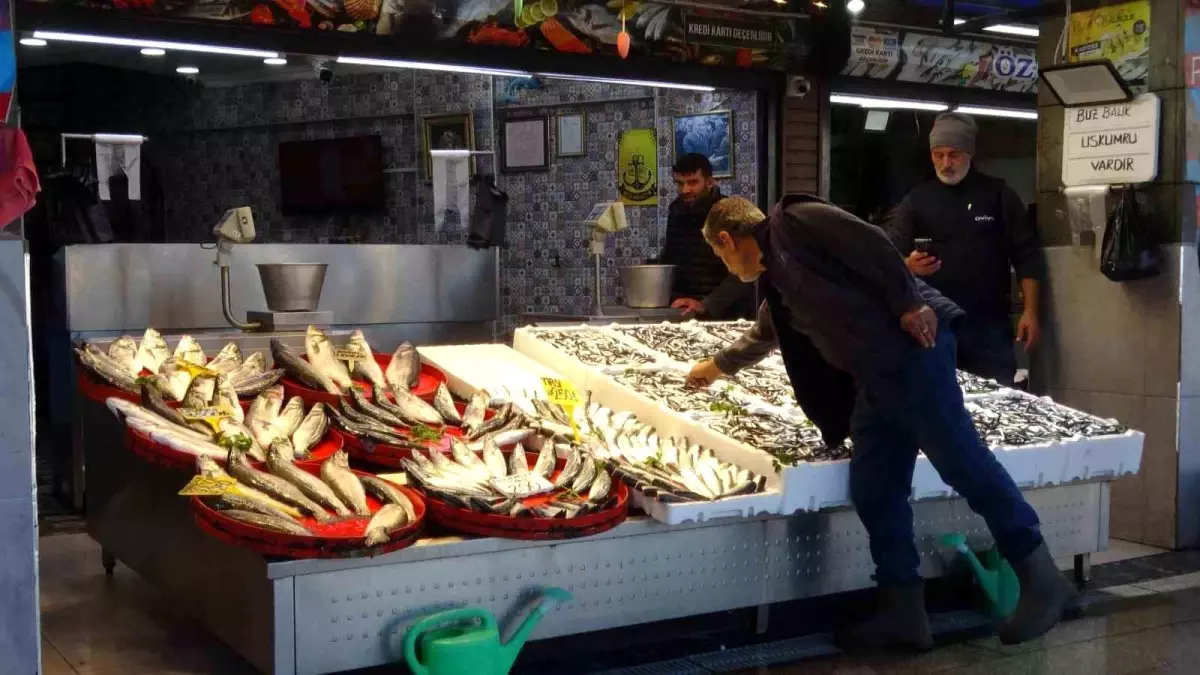 Palamut Avında Umut Kırıklığı