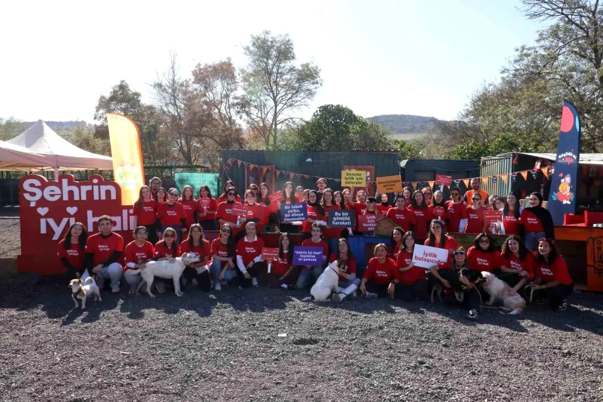 Akbank Gönüllü Gençlerle Hayvanlara Destek