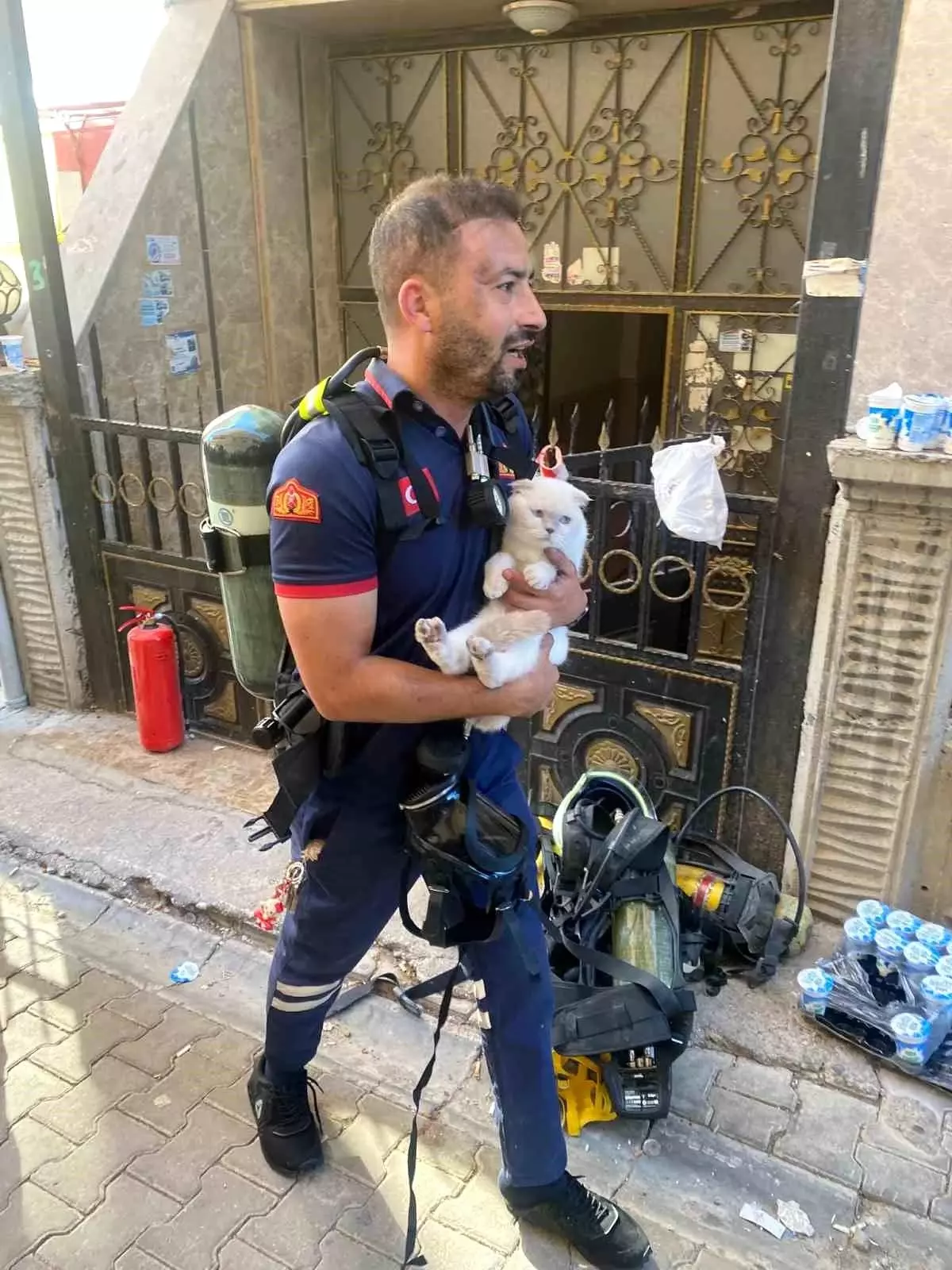 Kediyi Yangından Kurtardılar