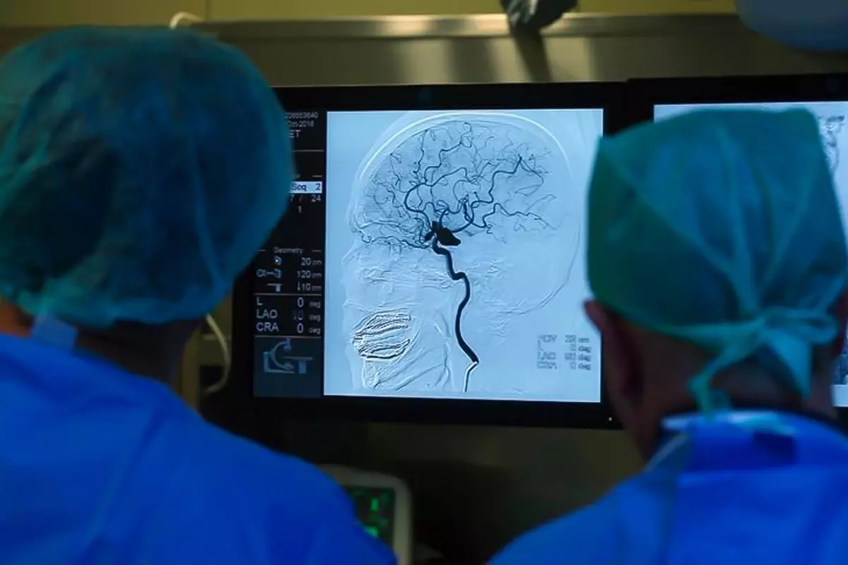 Türkiye\'de yıllar sonra 2 vaka görüldü! Tedavisi yok, komaya götürüyor