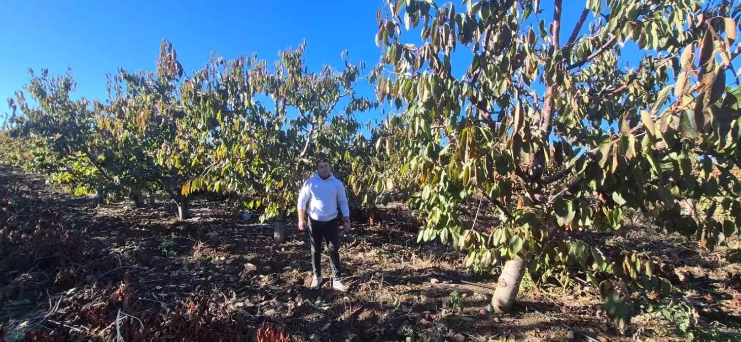 Mihalıççık\'ta Don Zararı Yaşayan Çiftçilere 55 Milyon TL Destek