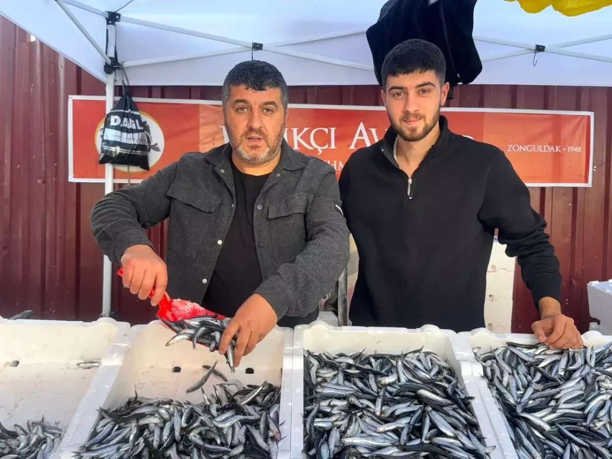 Zonguldak\'ta Hamsi Fiyatları Düşüşte